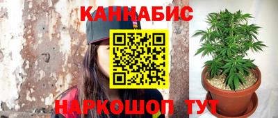 СК Бийск