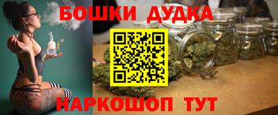 СК Бийск