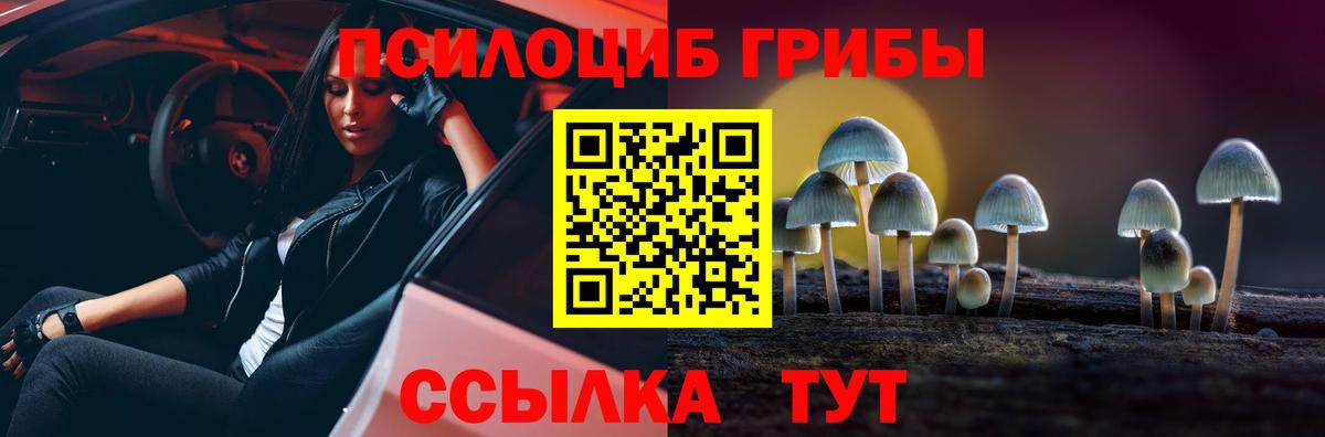 Псилоцибиновые грибы GOLDEN TEACHER  Псилоцибиновые грибы Cubensis  Канаш  Вход с VPN 
